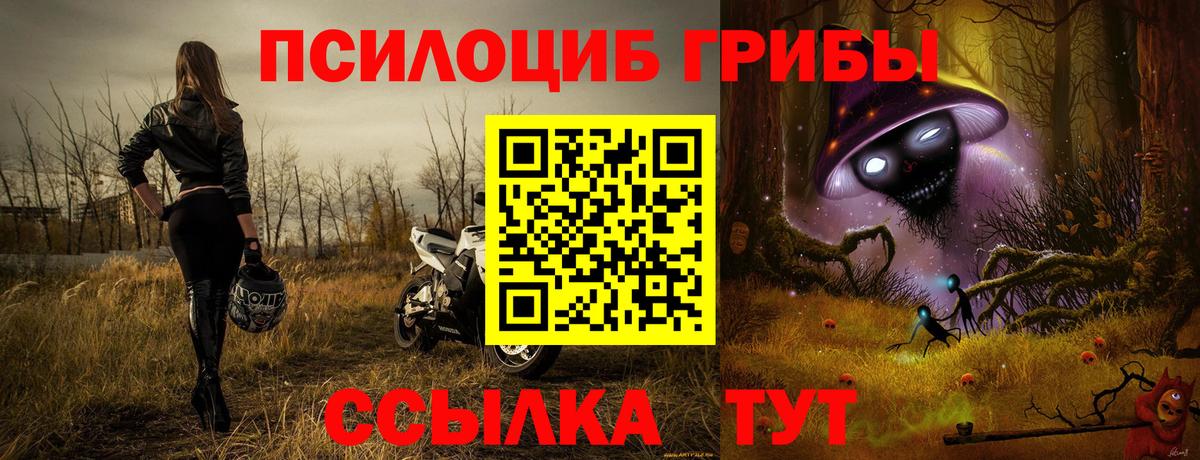 как найти закладки  Вход с VPN  Псилоцибиновые грибы мухоморы  Карачаевск  Псилоцибиновые грибы Cubensis 
