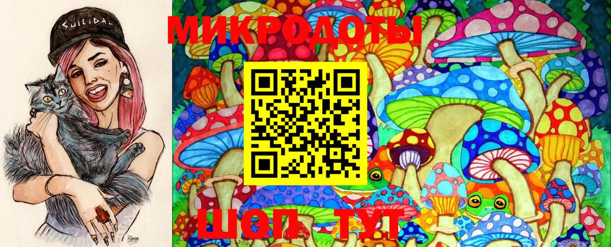 Псилоцибиновые грибы Cubensis Карачаевск